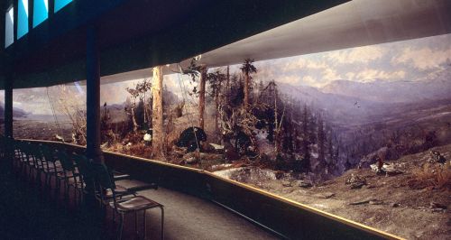 Fuglediorama på Vitenskapsmuseet