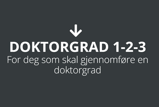 Doktorgrad 1-2-3. Illustrasjon