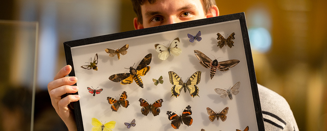 En mann holder opp en tavle med sommerfugler. Foto