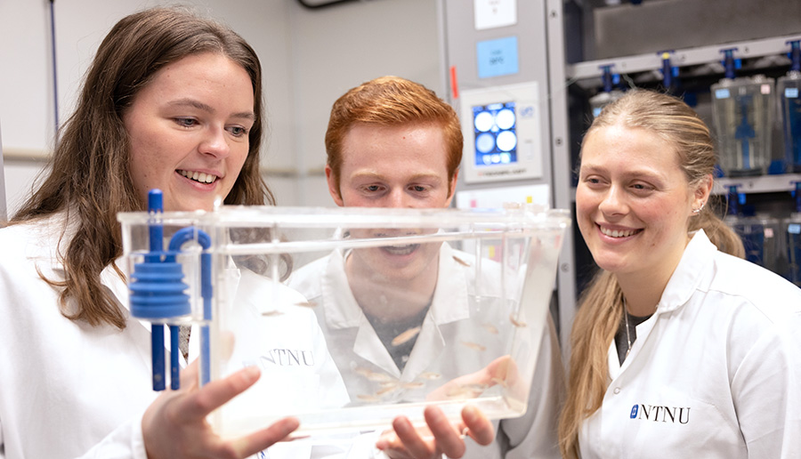 Tre studenter som ser på et akvarium med fisk i et laboratorium.