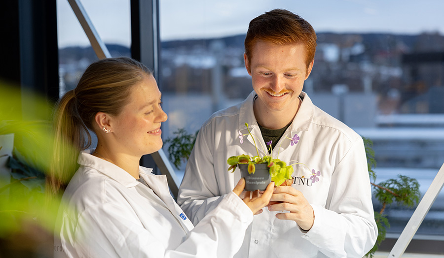 To studenter som ser på planter