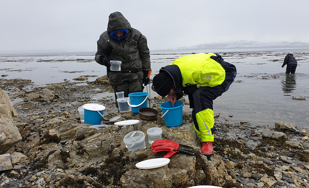 Scientists do fieldwork on the shore.