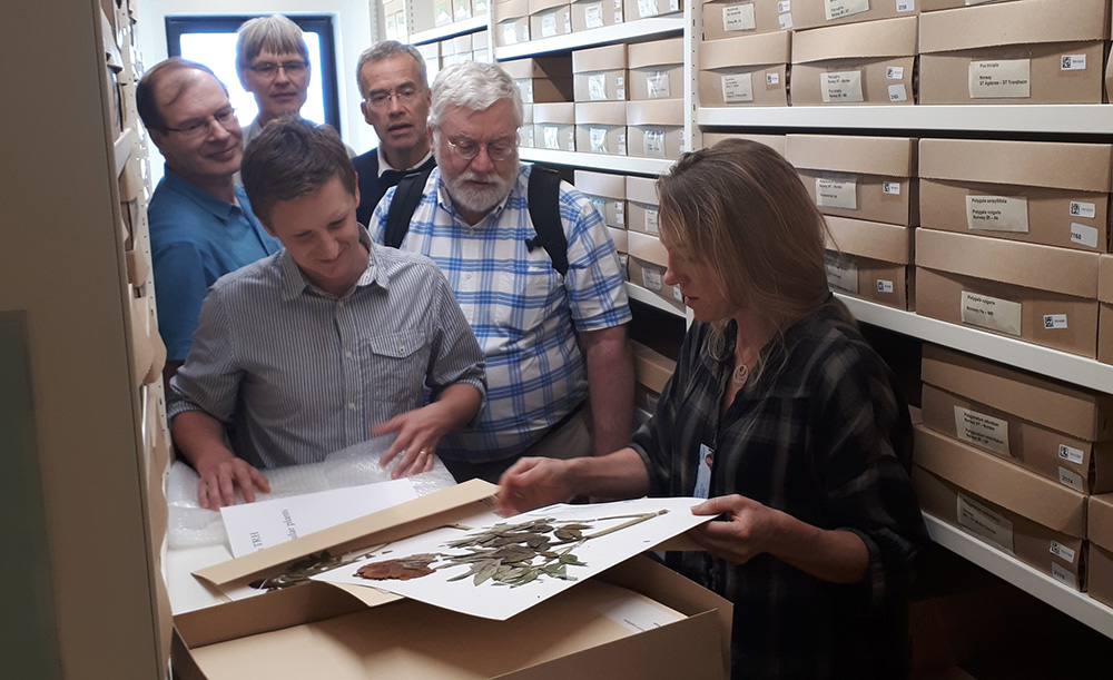 Group of people in the herbarium.