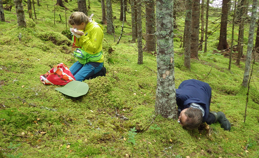 Two researchers doing fieldwork in the forest.