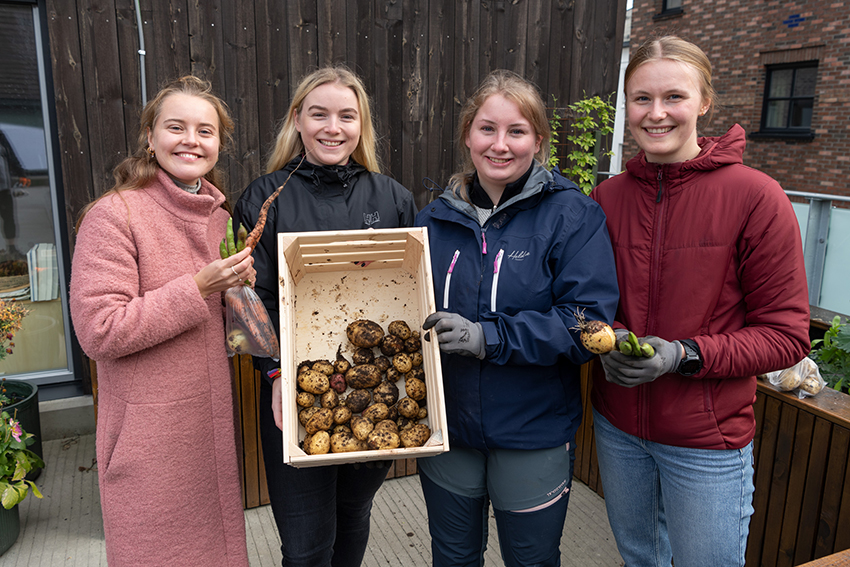 Fire kvinner som viser frem grønsaker og poteter. Foto