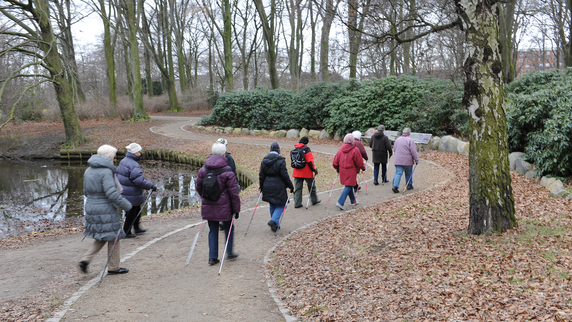 Eldre mennesker som går tur. Foto: colourbox