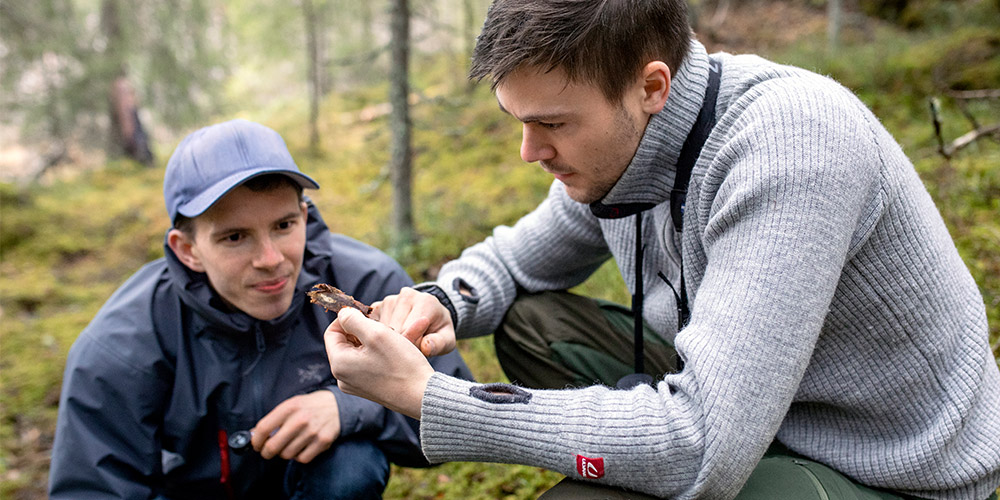 Studiets Oppbygning - Biologi - Bachelorstudium - NTNU