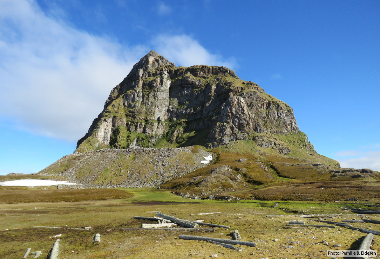 Fjellet Fuglehuken på Svalbard.